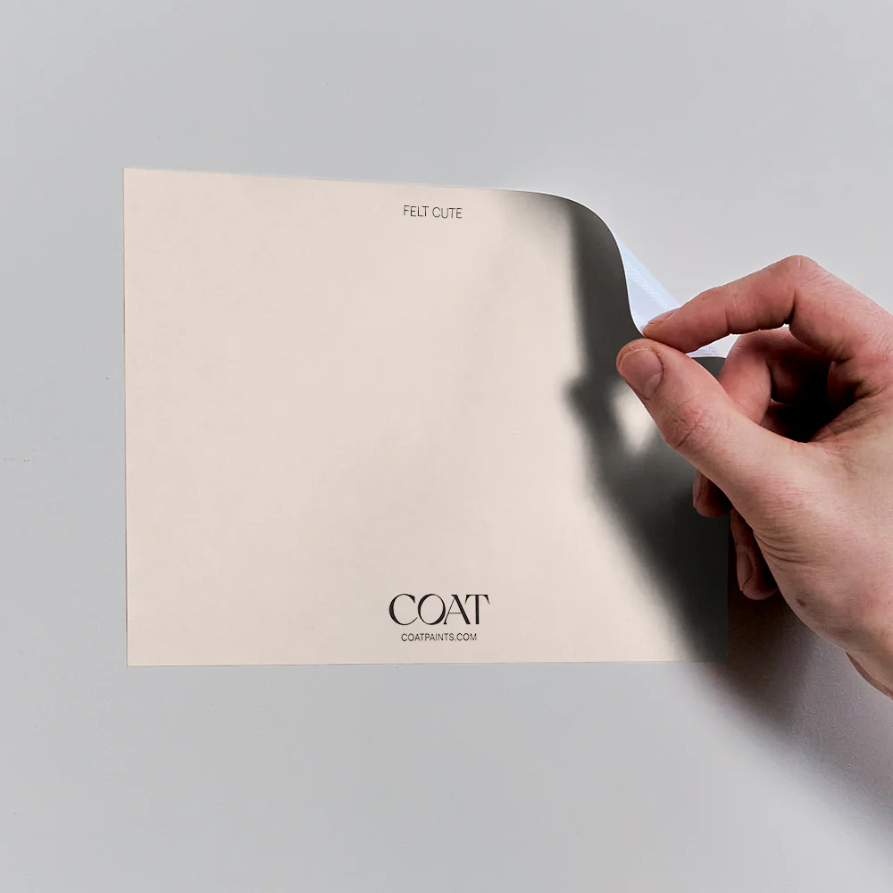 East Facing Colours - Image 5
