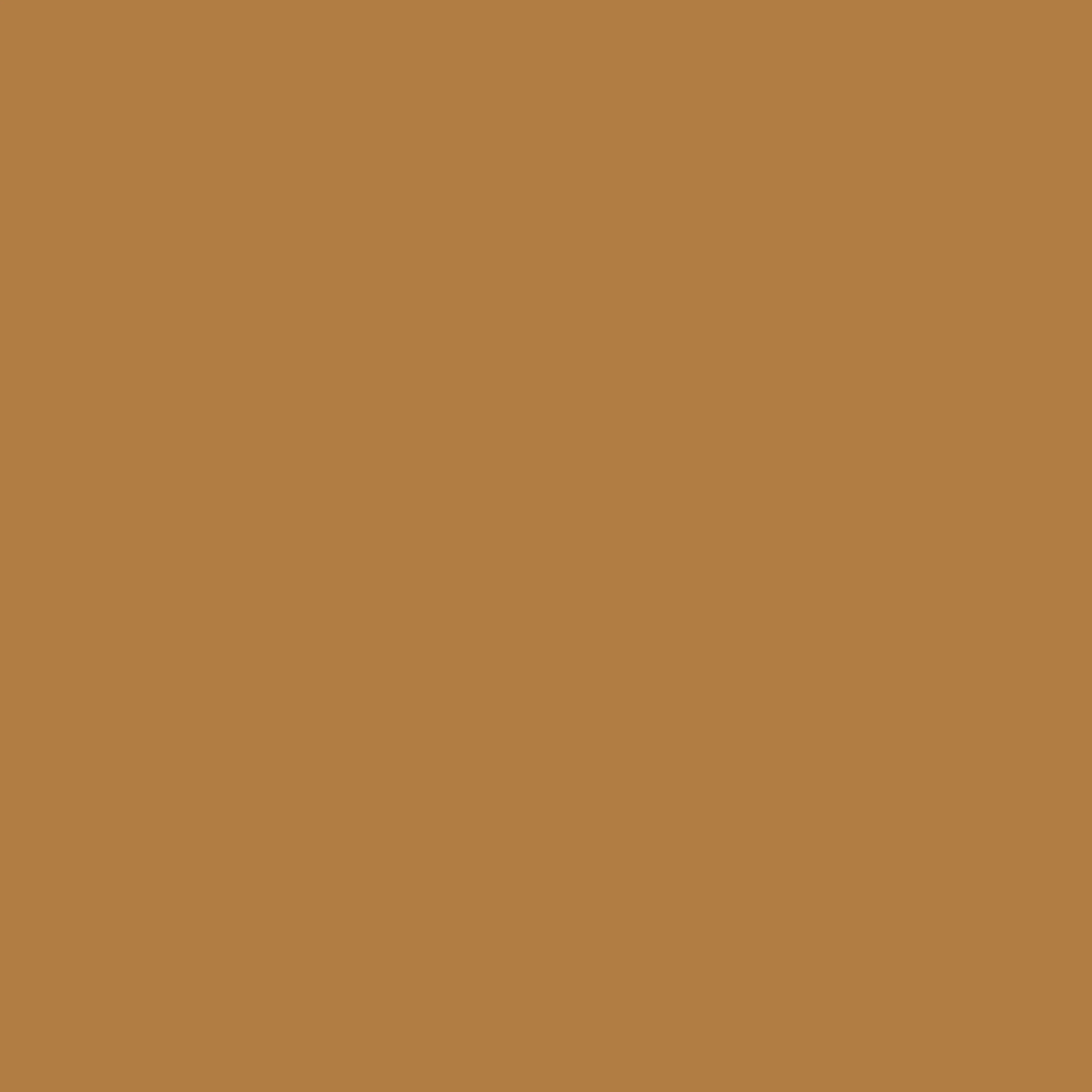 Heir Brush - Image 10