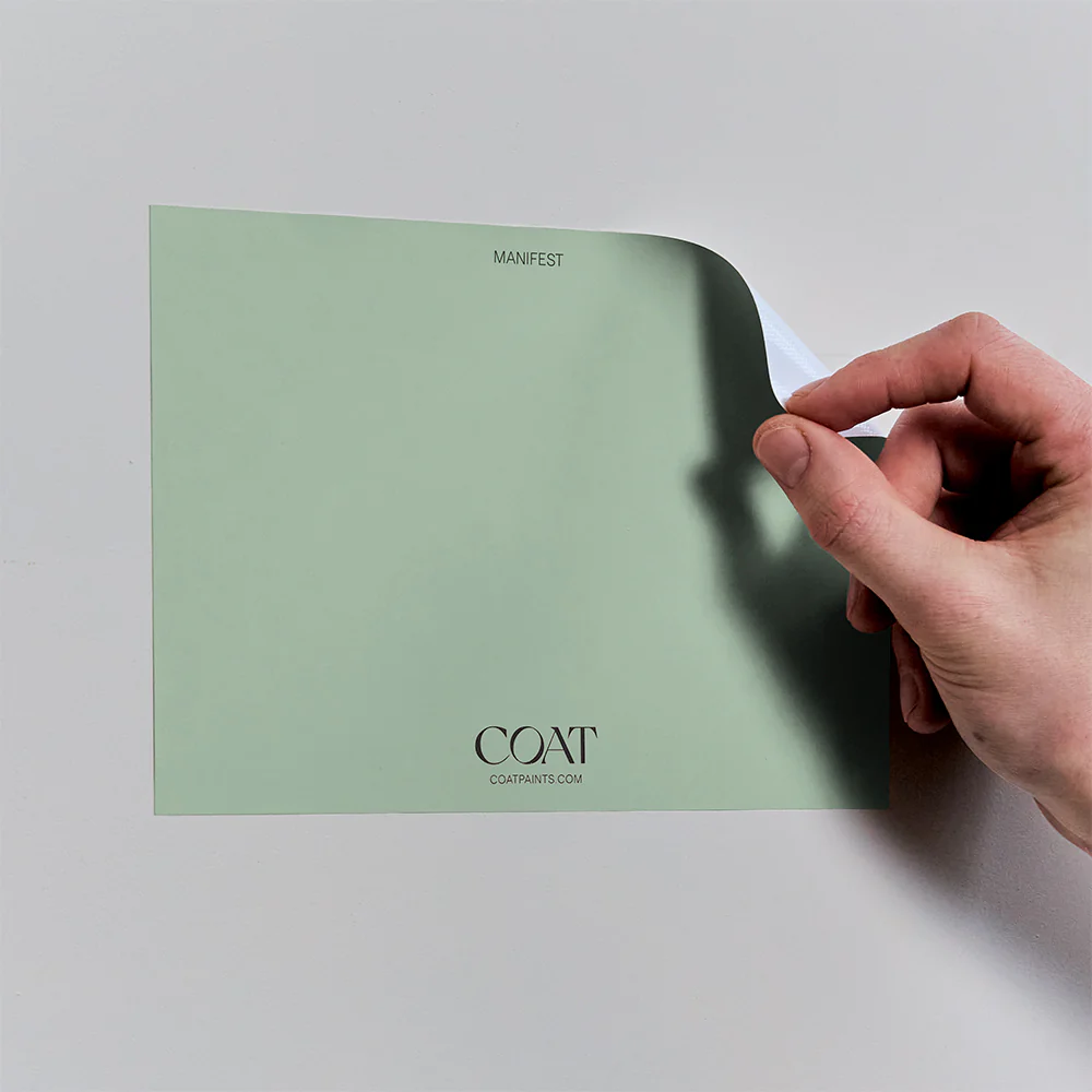 Manifest - Image 5