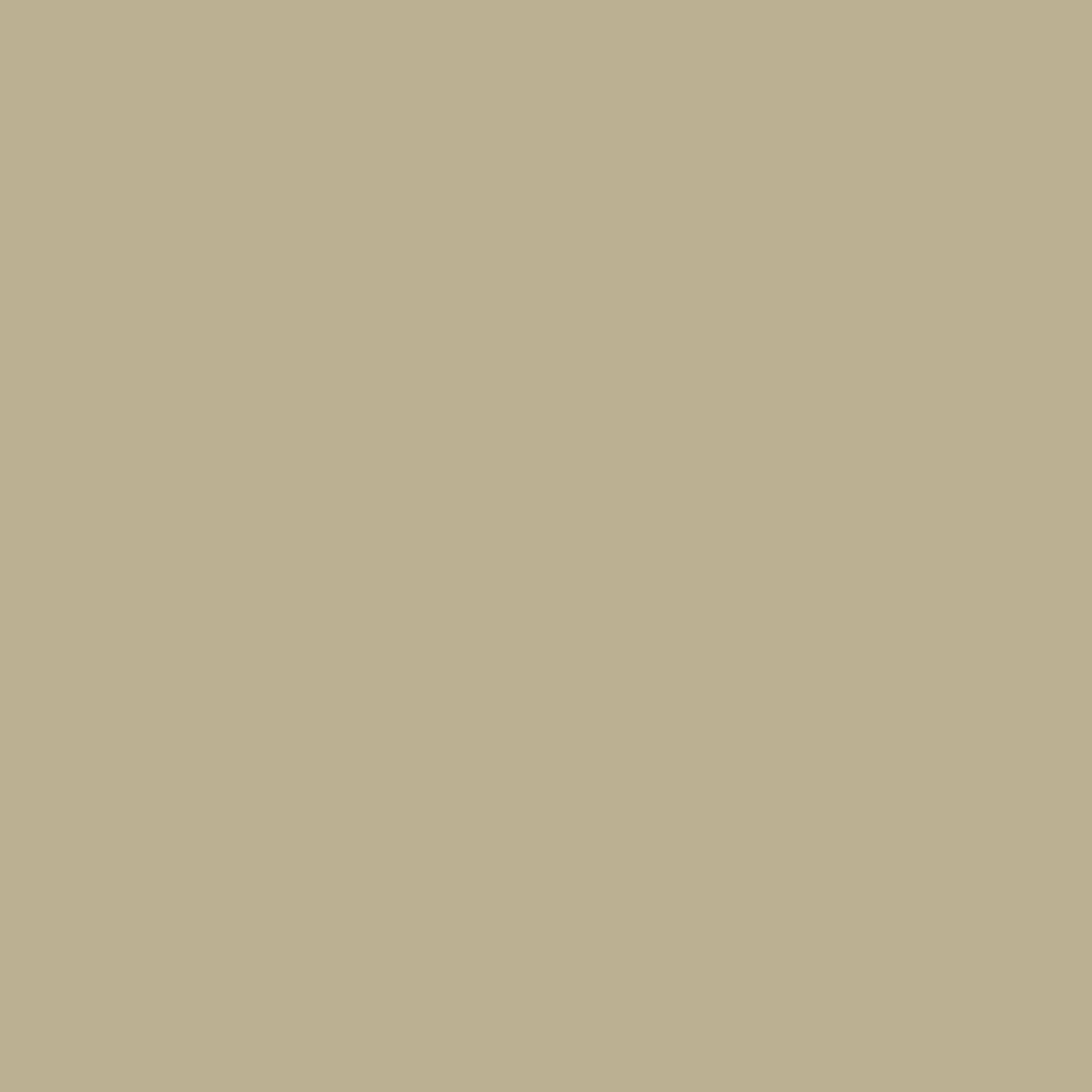Ode to Toad - Image 9