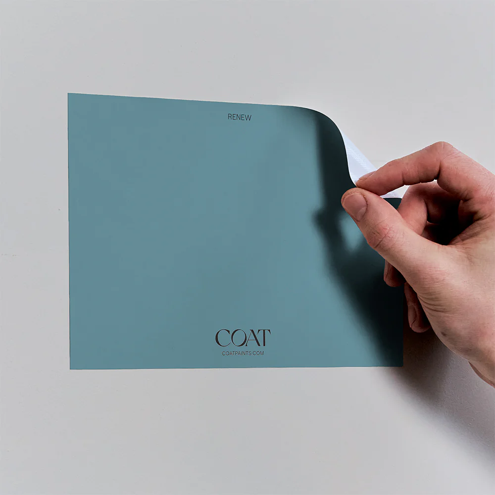 Renew - Image 6