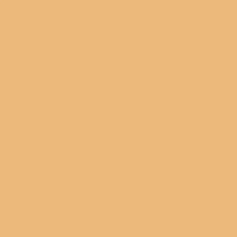 Ziggy's Yellow - Image 14